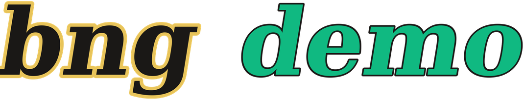 bng demo logo